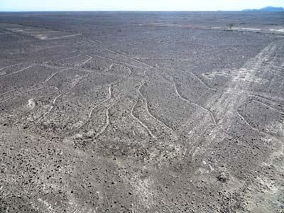 ligne nazca